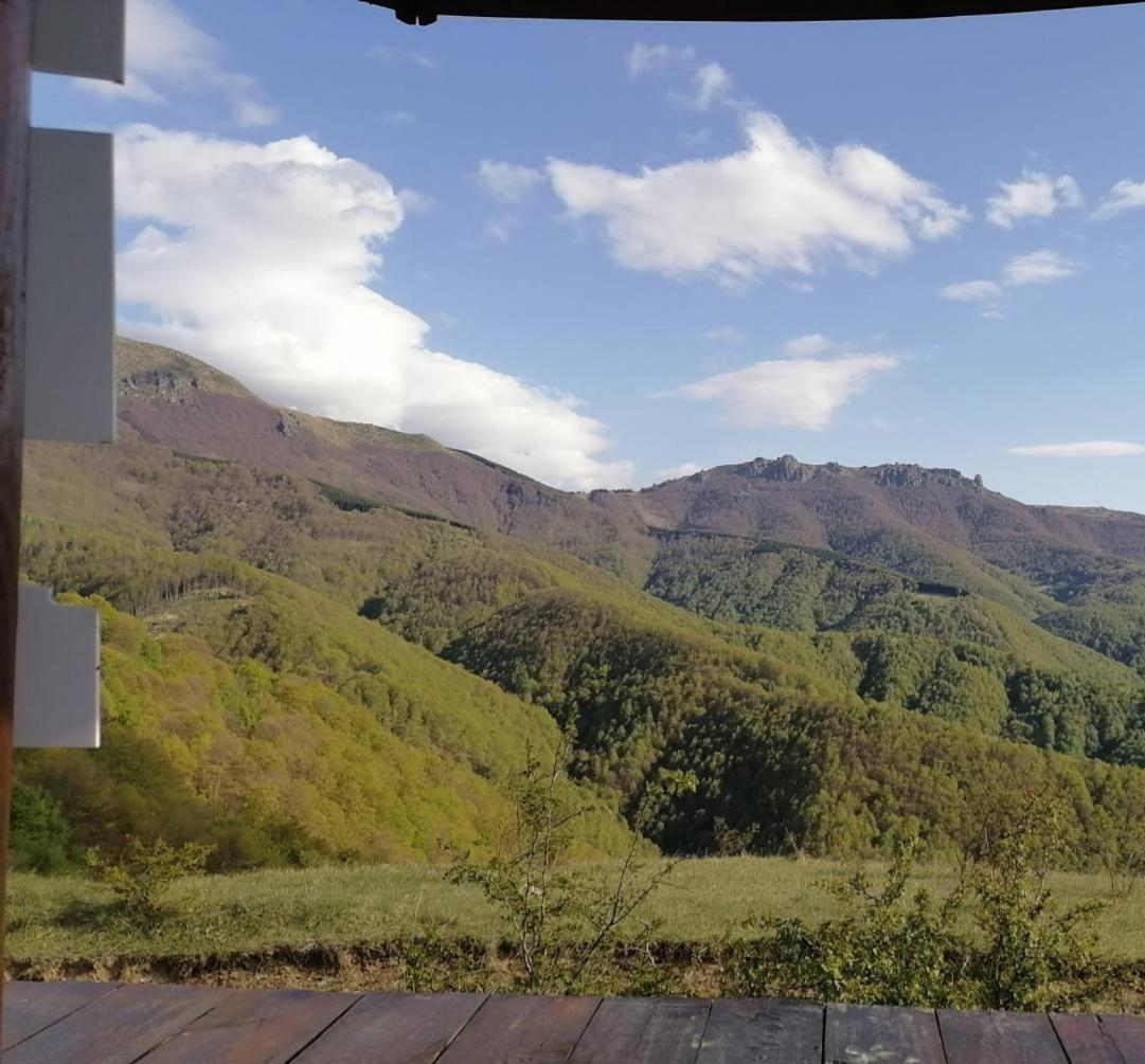 Std Cvetkovic Bed and Breakfast Crni Vrh Buitenkant foto