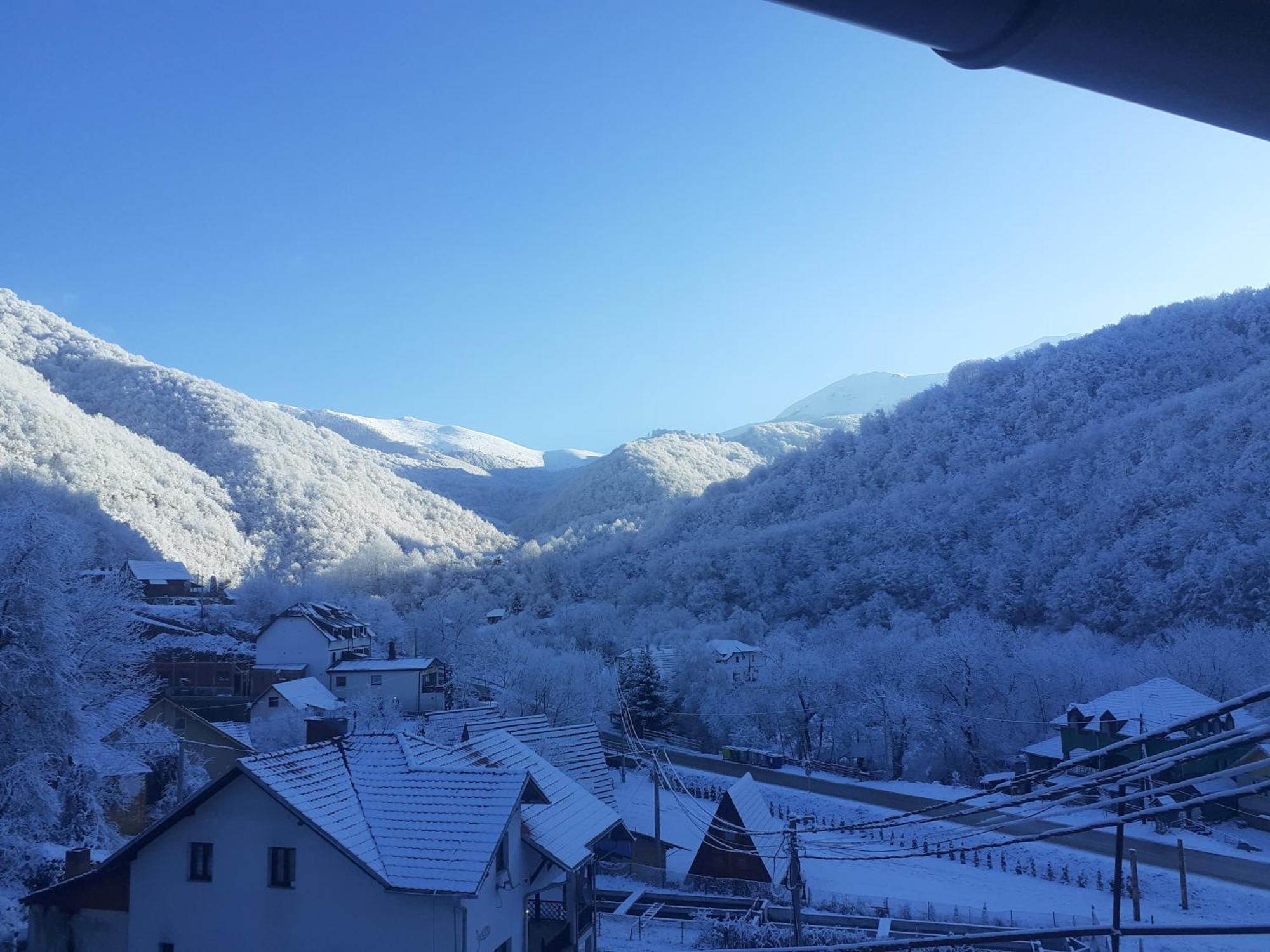 Std Cvetkovic Bed and Breakfast Crni Vrh Buitenkant foto